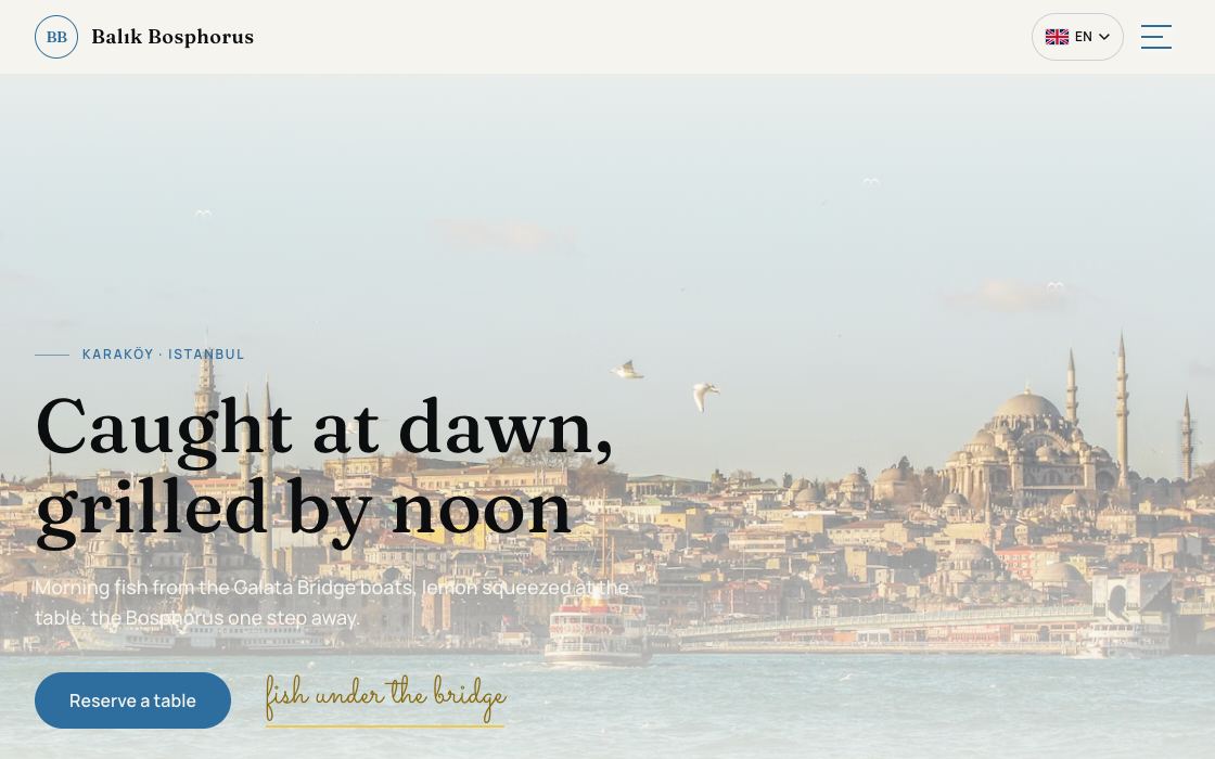 Balık Bosphorus restaurant website design